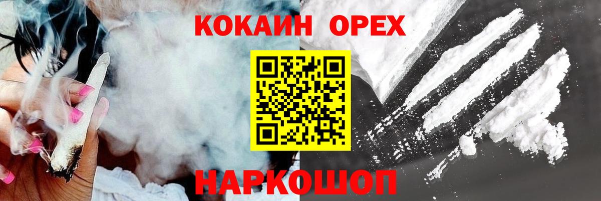 Галлюциногенные грибы Мурманск